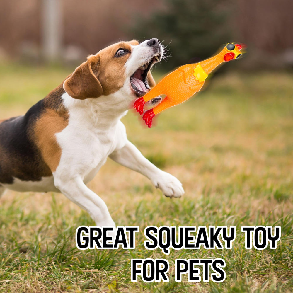 EXPRESSIONS chicken squeak toy as a carnival prize adds playful excitement
