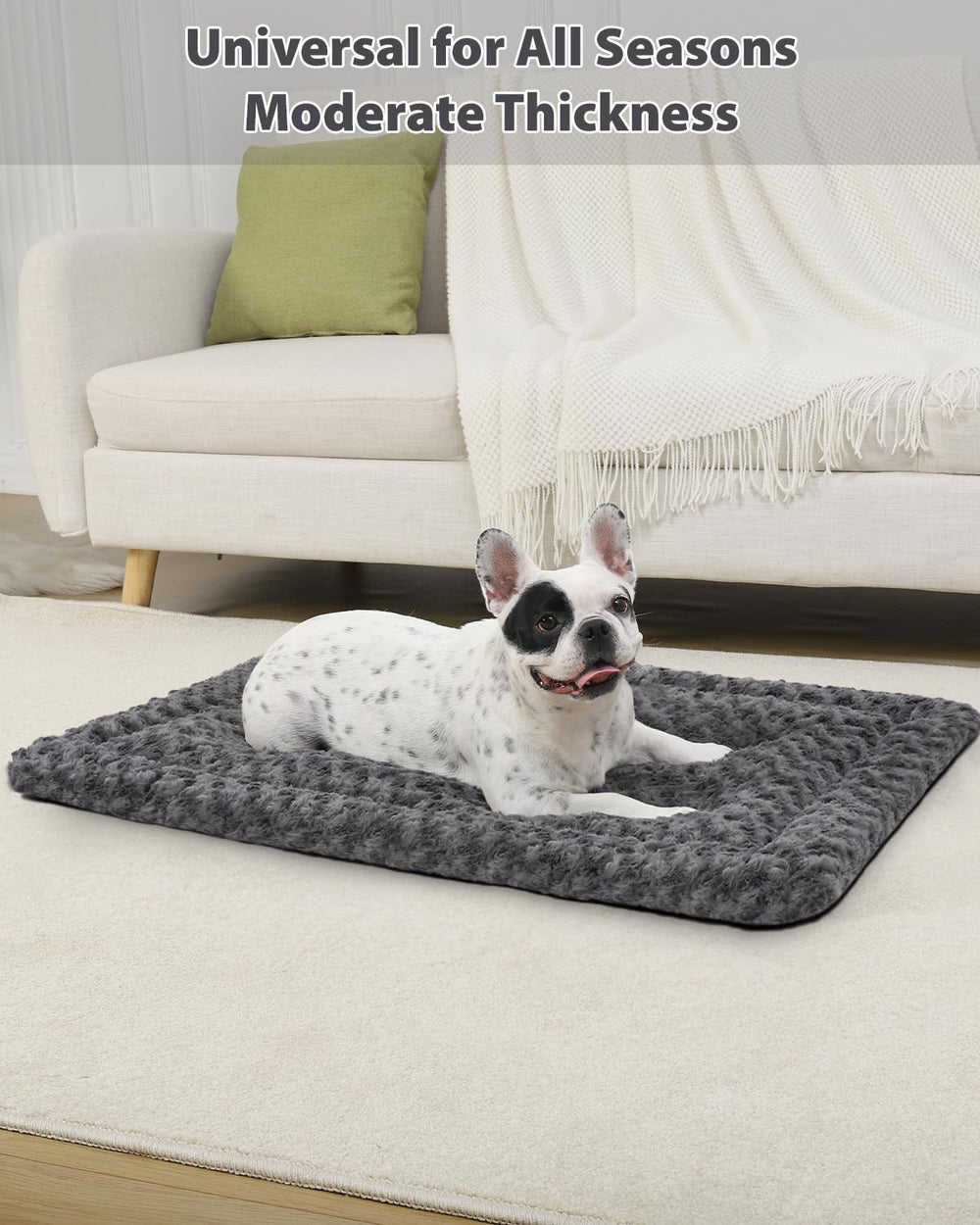 Exsnugy washable crate pad placed in crate for easy cleaning