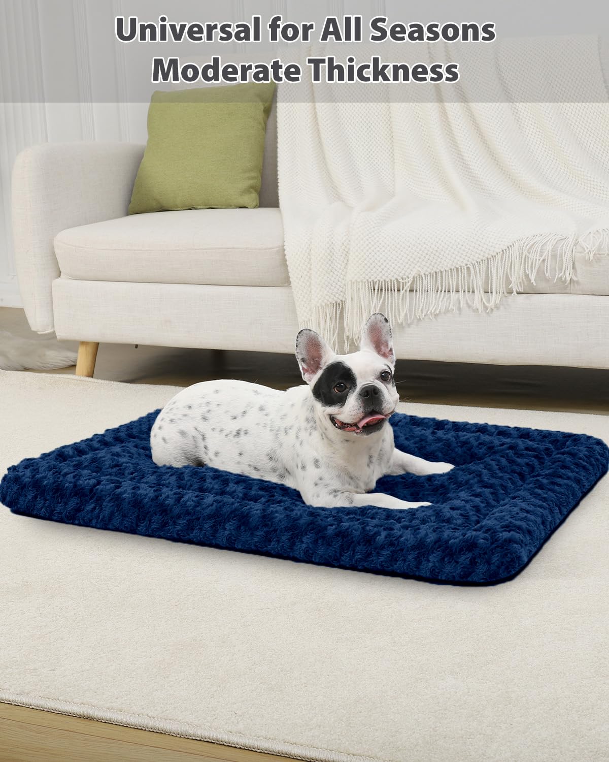 Exsnugy dog bed mat on elevated bed reduces slipping and anxiety.