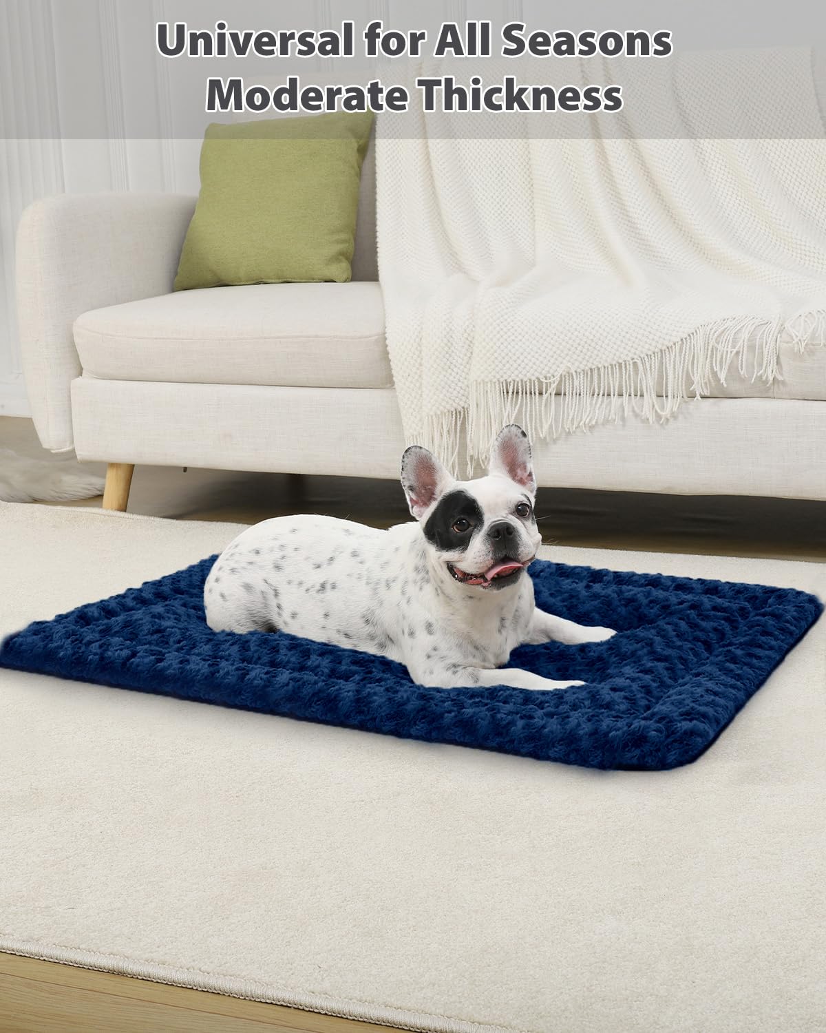 Exsnugy machine-washable bed keeps crates fresh between cleanings.