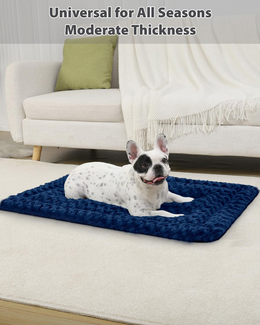 Exsnugy machine-washable bed keeps crates fresh between cleanings.
