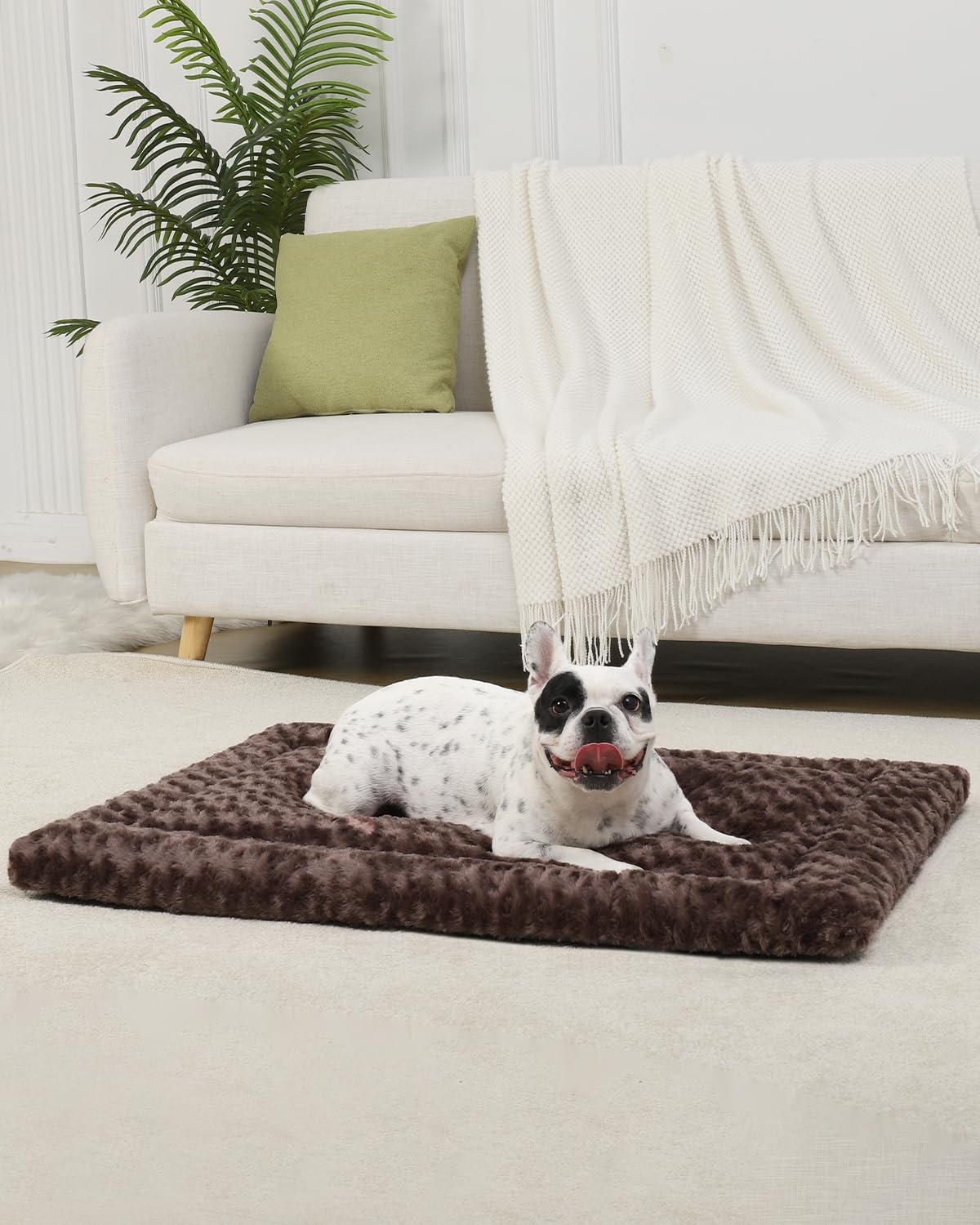 Exsnugy brown plush mat offers warm sleeping space for dogs.
