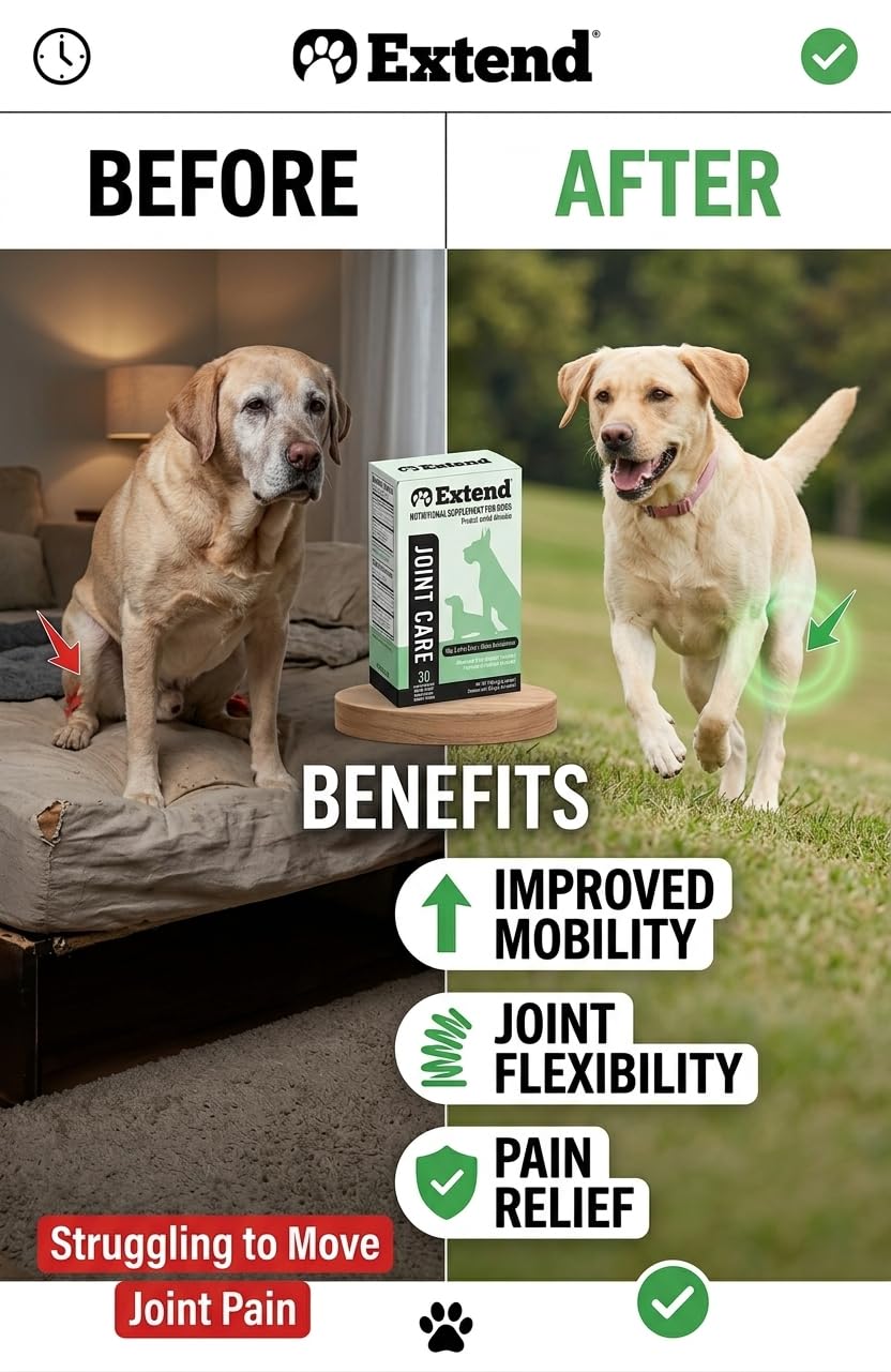 Extend Type II chicken collagen supports cartilage health in dogs