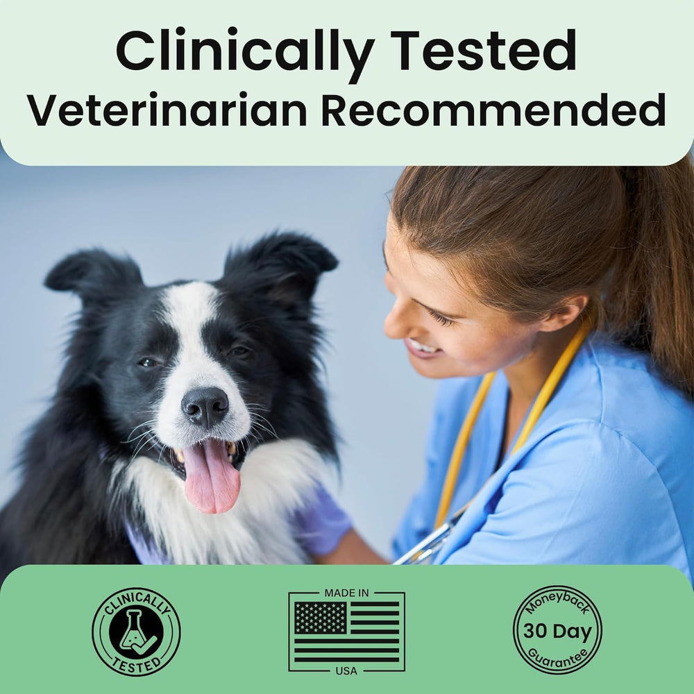 Extend MSM powder supports connective tissue and joint comfort for dogs