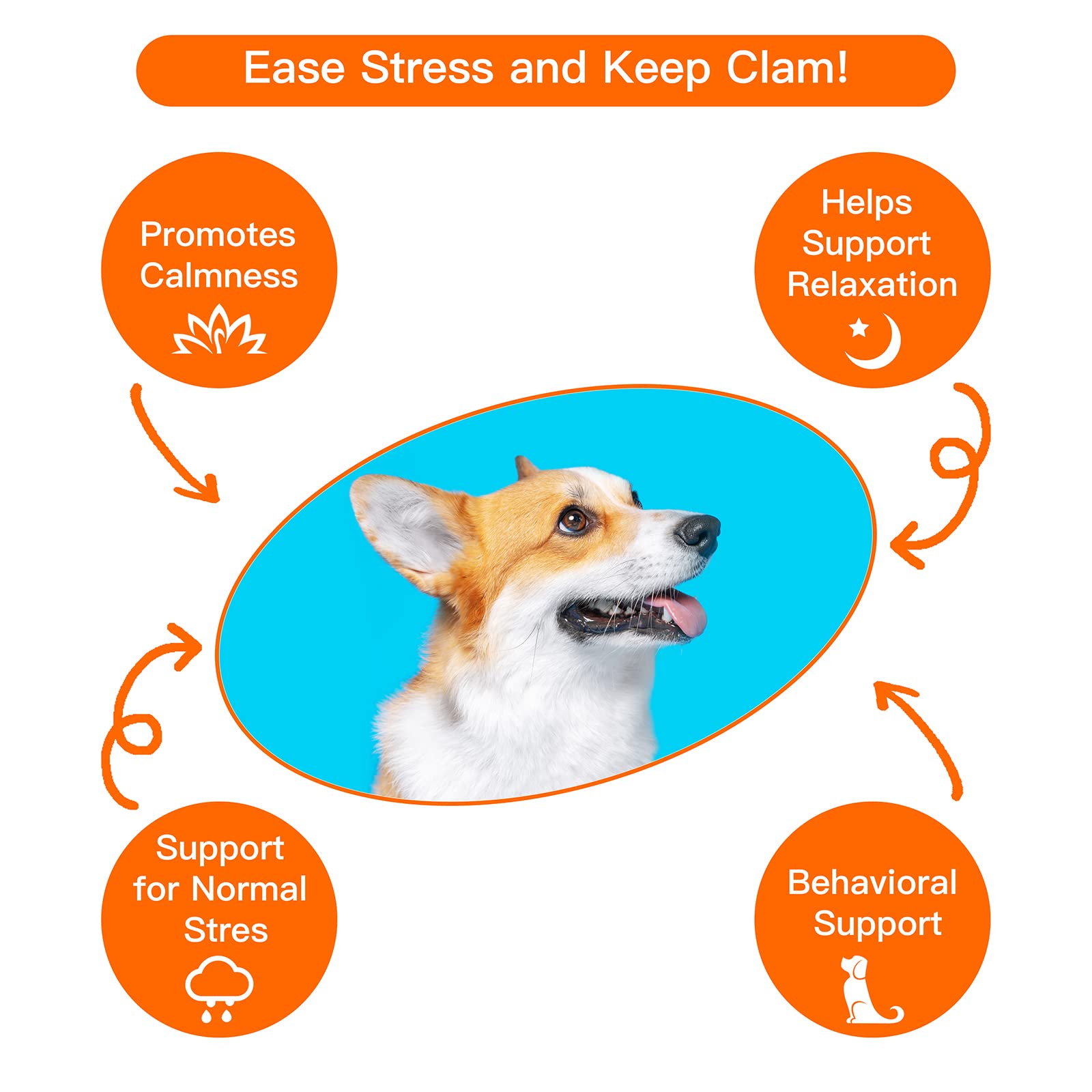 Extragele Heartbeat Puppy Toy close-up stitching demonstrates durability for everyday play.