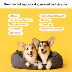 Extragele Heartbeat Puppy Toy crate training use promotes calmer nightly routines.