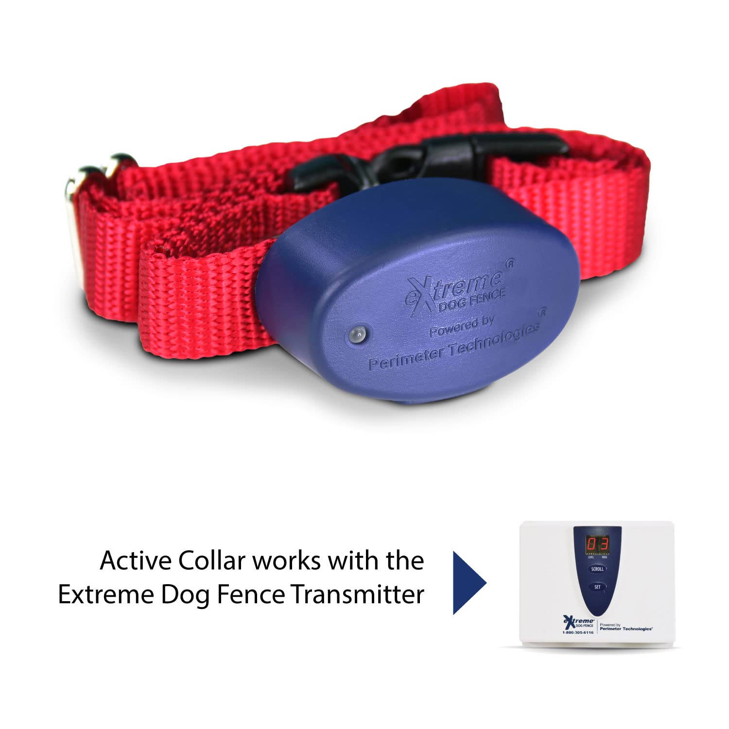Extreme Dog Fence Active Collar shows medium and large contacts with comfort covers.