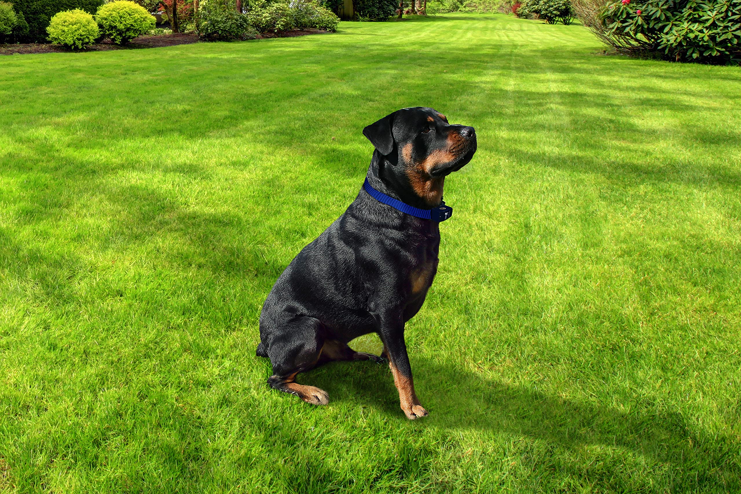 Extreme Dog Fence stubborn collar with medium contacts for versatile containment.