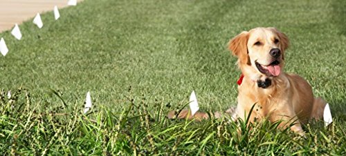 Extreme Dog Fence wire with HMW polyethylene coating shields from UV and moisture.