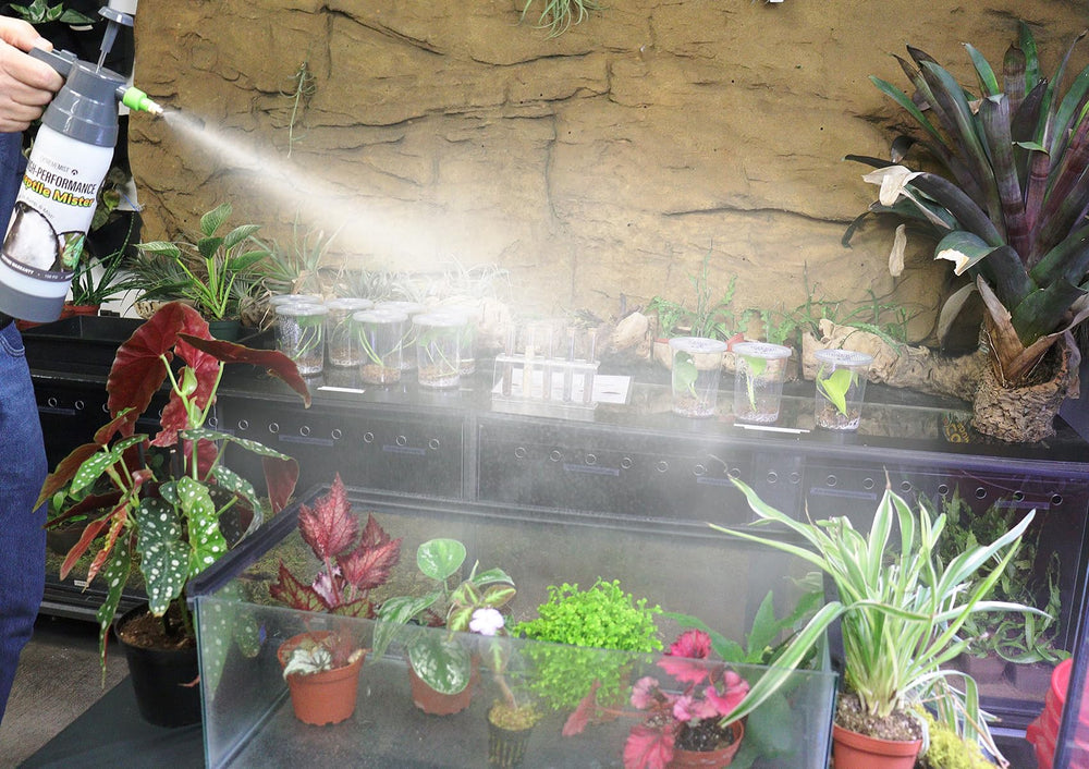 EXTREMEMIST terrarium humidity setup in use for reptiles.