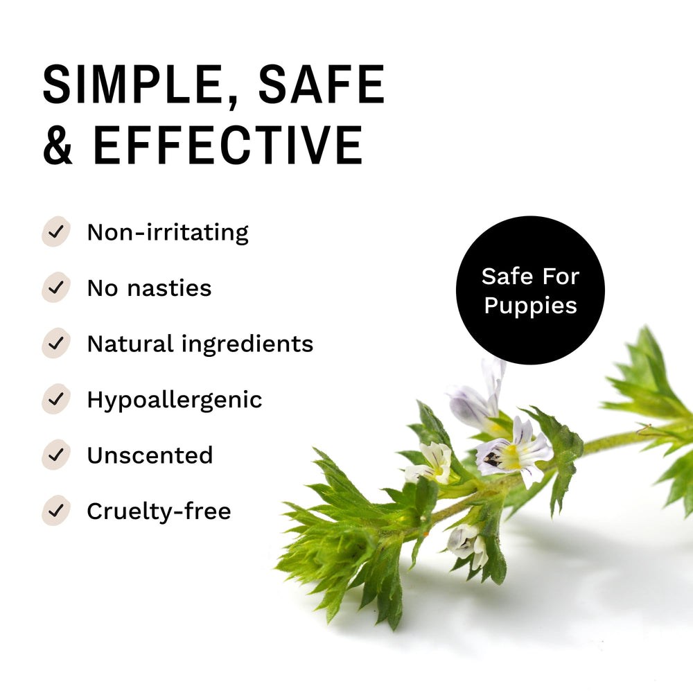 Eye Envy Nose Balm applied to protect from wind and elements.