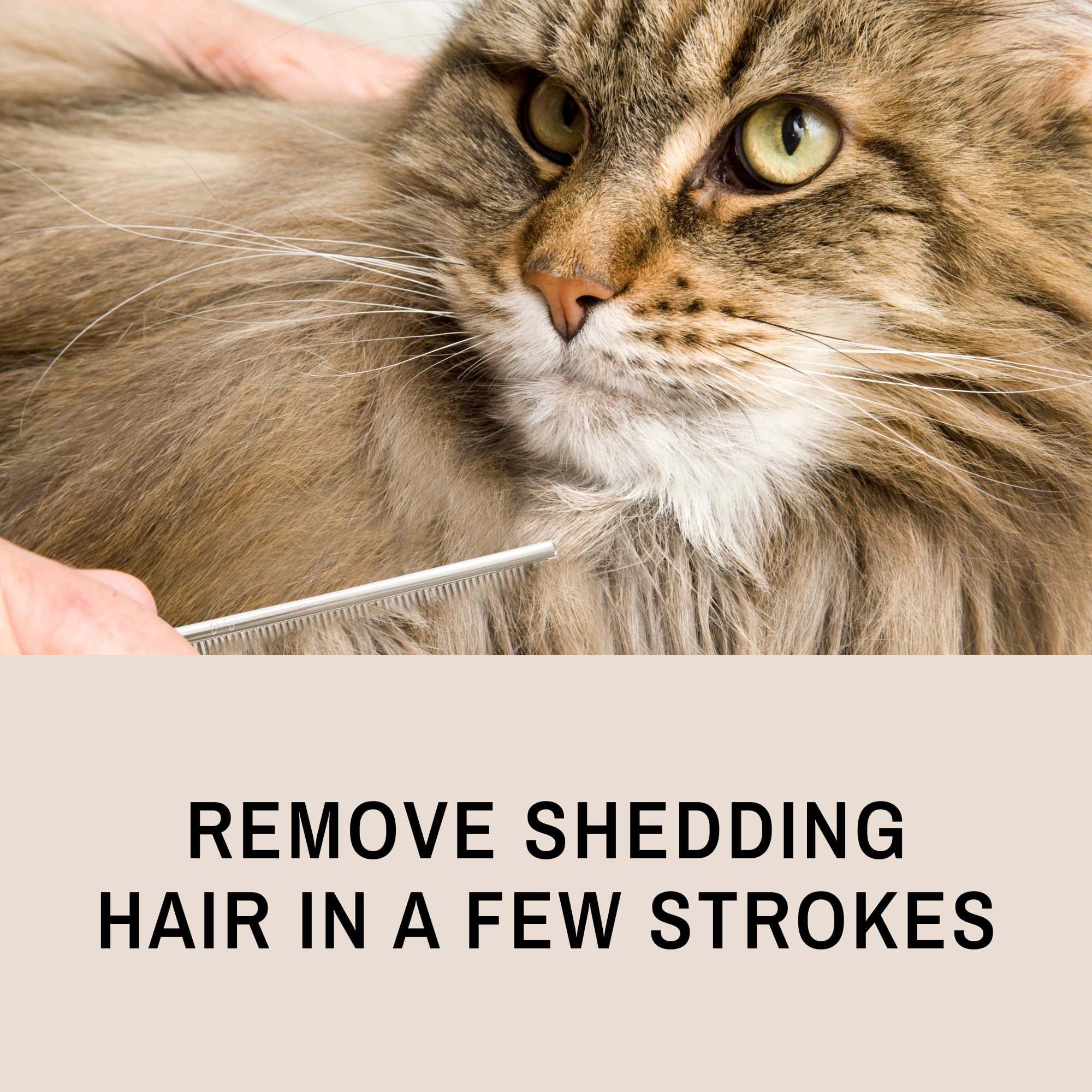 Eye Envy ProGlide for double-coated cats showing coat grooming benefits
