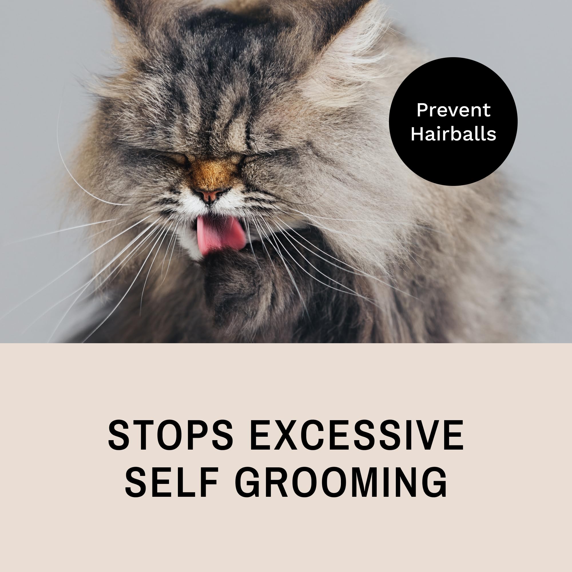 Eye Envy ProGlide rounded tips protect skin during brushing close-up