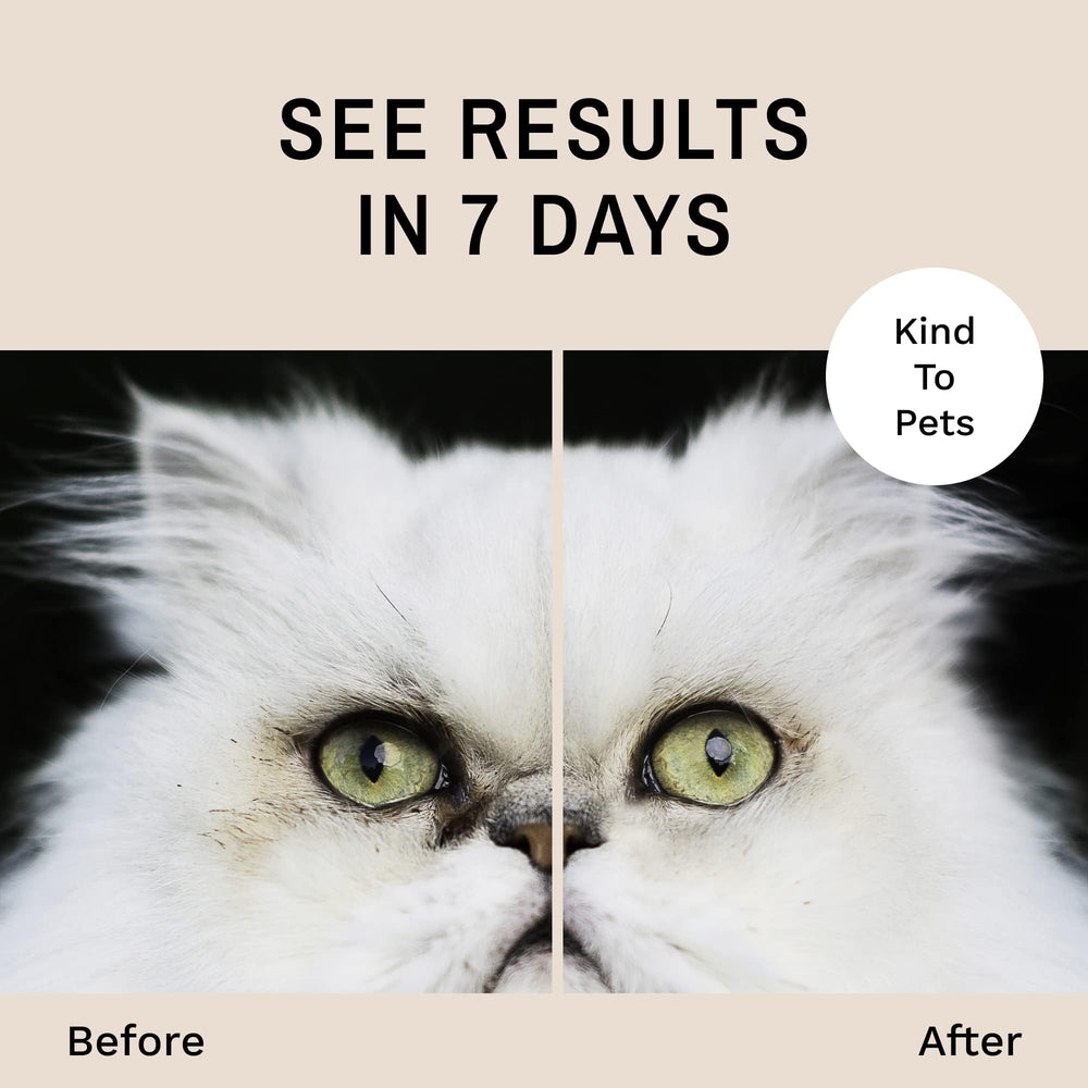 Eye Envy Tear Stain Wipes natural formula safe for cats and kittens