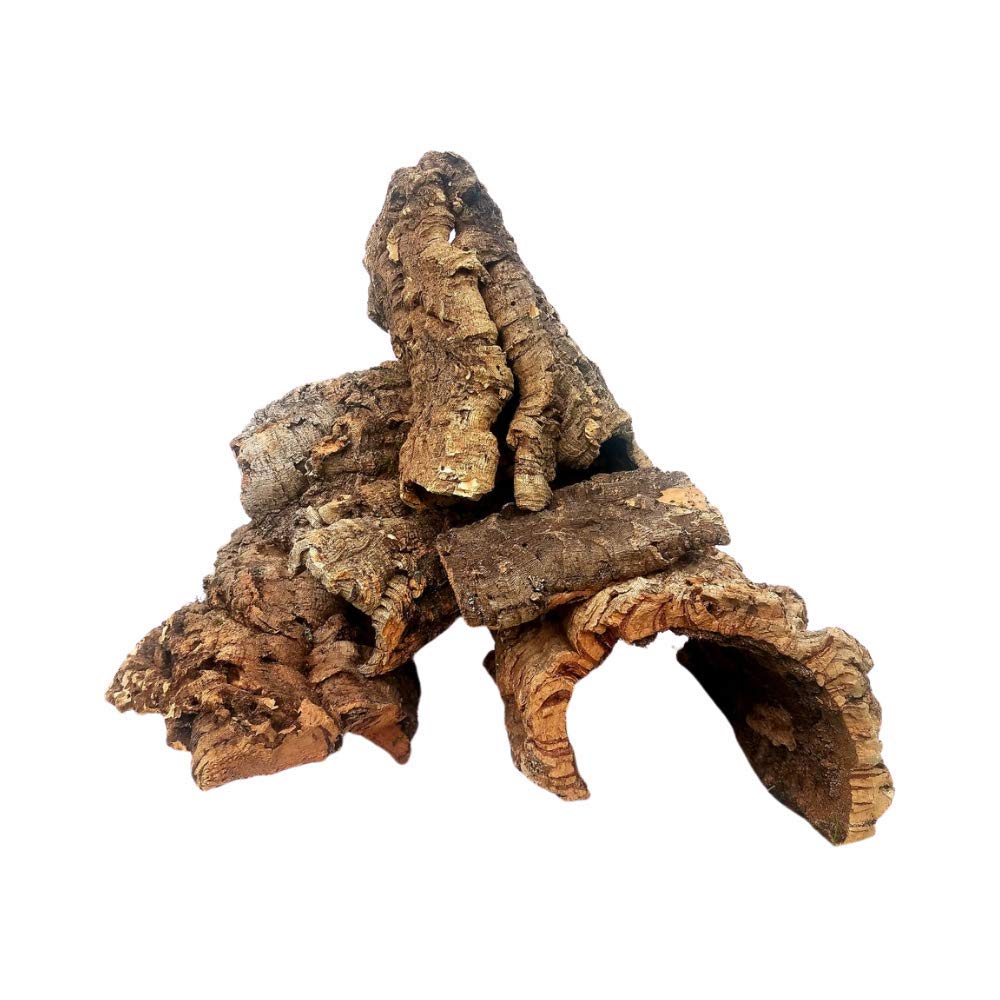 EZ Botanicals cork bark rounds, halves, and flats for terrariums and displays; natural decor and habitat accents.