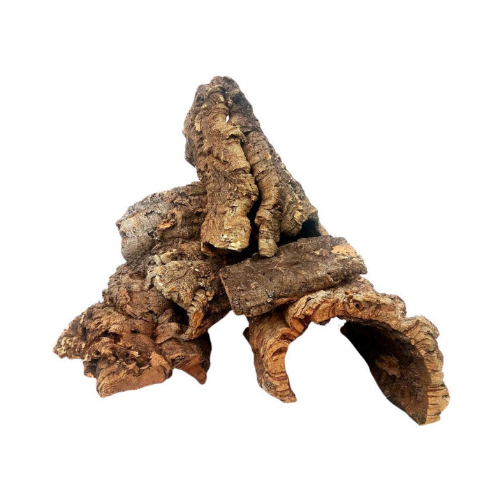 EZ Botanicals cork bark rounds, halves, and flats for terrariums and displays; natural decor and habitat accents.