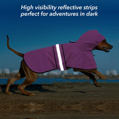 Ezierfy adjustable belly and chest straps ensure a snug fit during walks.