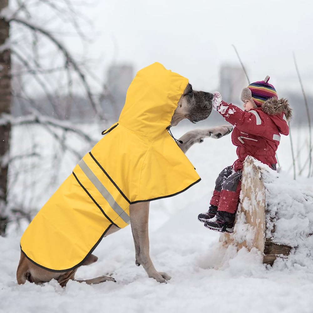 Ezierfy four sizes from S to XL fit small to large dogs