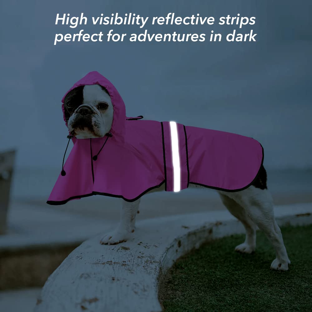 Ezierfy hood with buckle adjustment protects the dog's head.