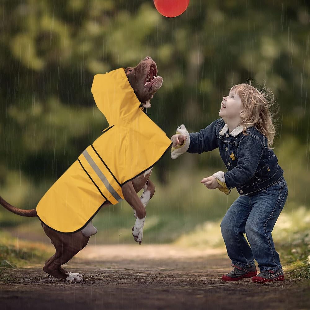 Ezierfy lightweight waterproof fabric keeps dogs dry on wet walks