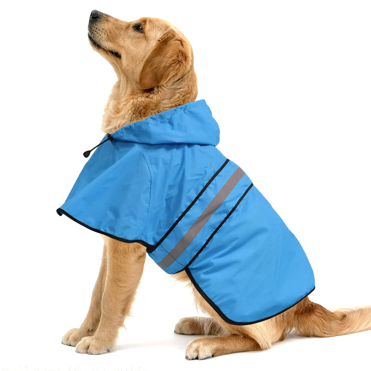 Ezierfy waterproof hooded raincoat in blue for large dogs during rainy walks