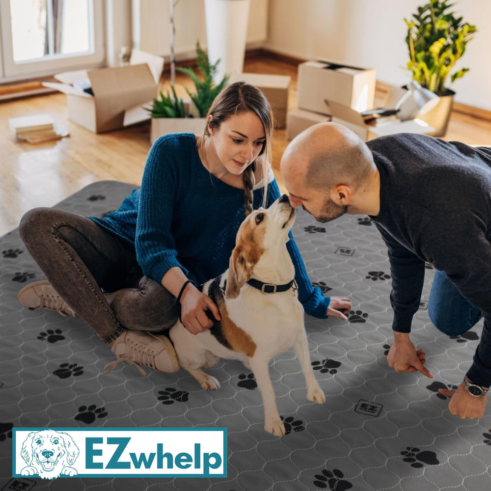 EZwhelp large-dog friendly pad ideal for training and accidents.