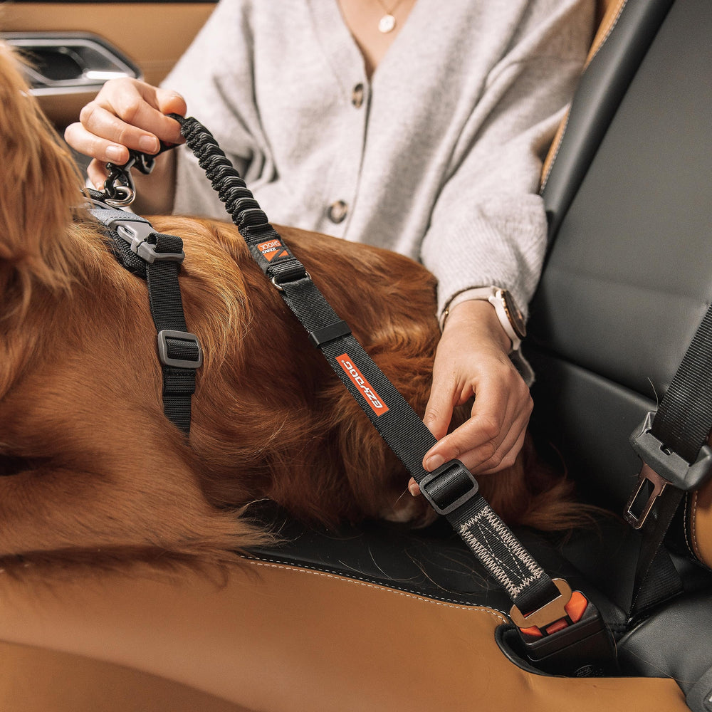 EzyDog car restraint works with harnesses to enhance dog comfort during travels.