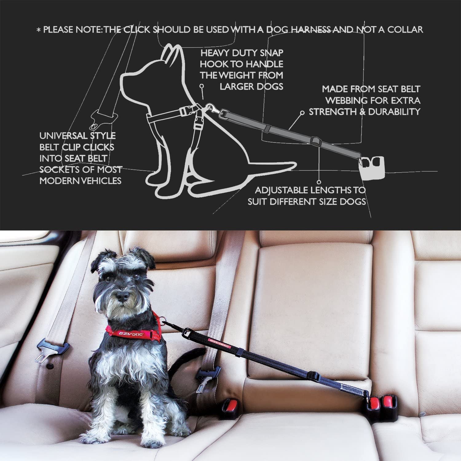EzyDog Click abrasion-resistant nylon webbing designed for lasting durability.