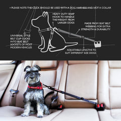 EzyDog Click abrasion-resistant nylon webbing designed for lasting durability.