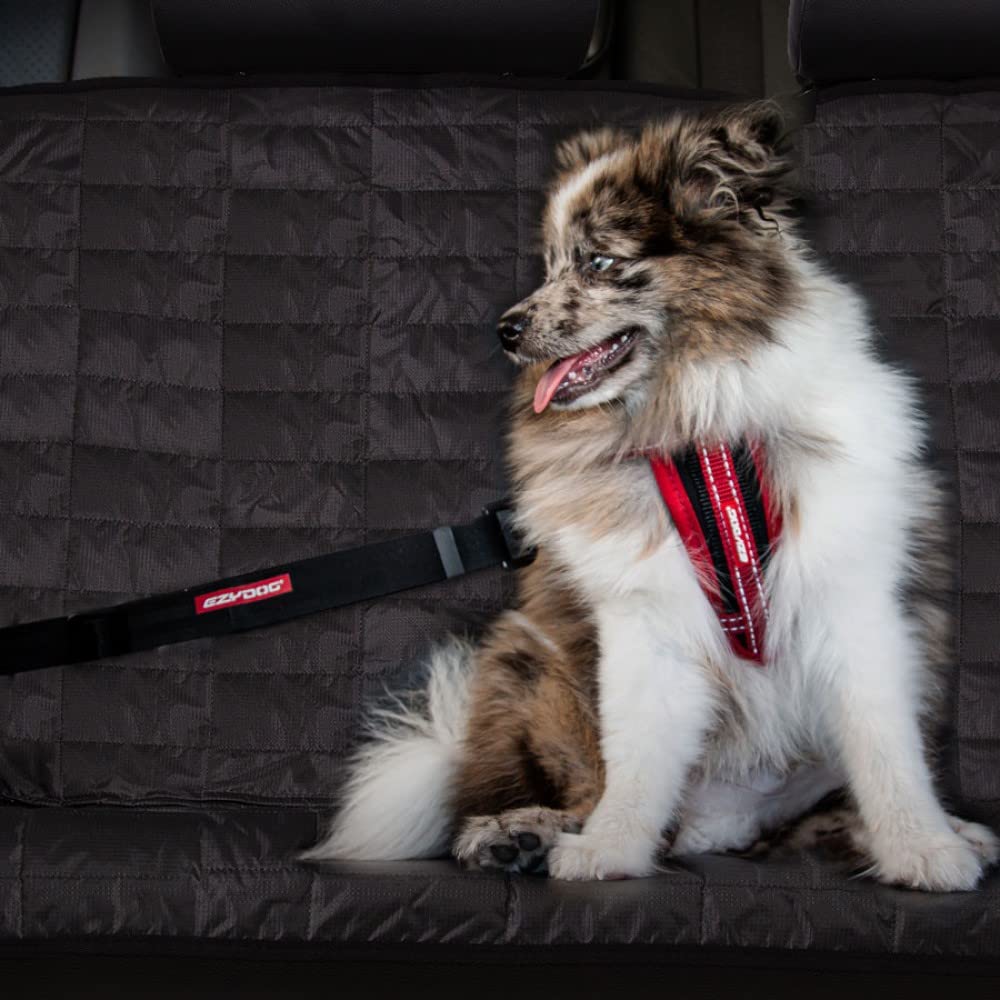 EzyDog Click compatible with popular EzyDog harness models for secure fit.
