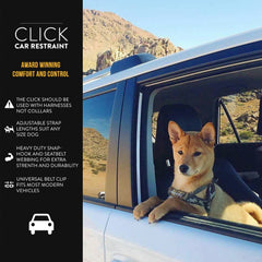 EzyDog Click swivel snap hook ready for quick, secure tether with harness.