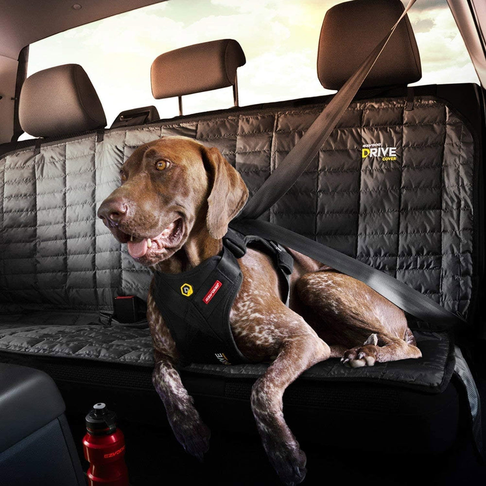 EzyDog Drive Harness featuring aluminum Tri-Glides for secure adjustability.