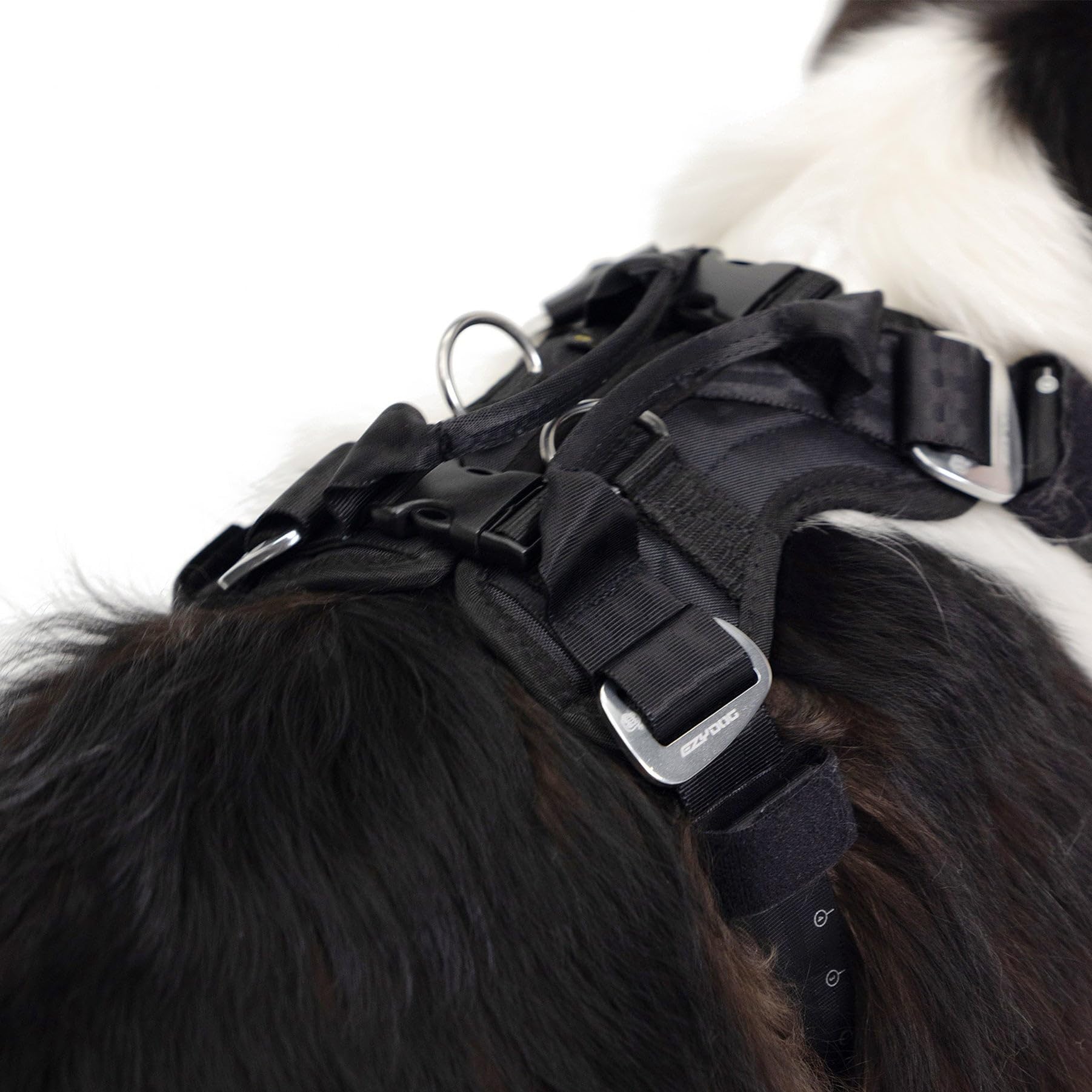 EzyDog Drive Harness crosslink-technology enhances strength without sacrificing mobility.