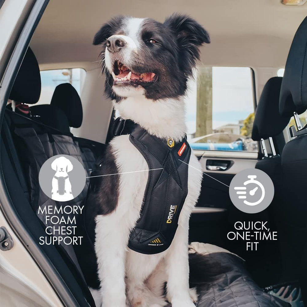 EzyDog Drive Harness with dual D-ring attachment for easy leash transitions.