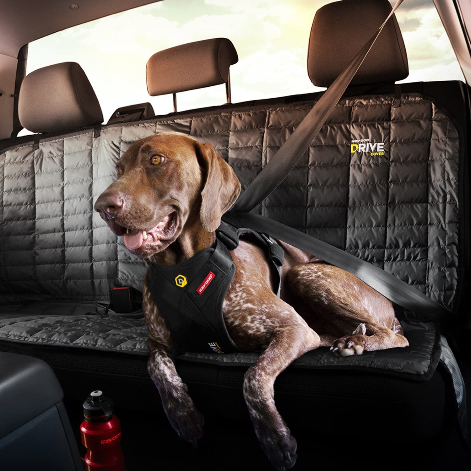 EzyDog Drive Harness dual-d-ring-attachment supports flexible leash use inside and outside the car.