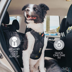 EzyDog Drive Harness with dual D-ring attachment for easy leash transitions.