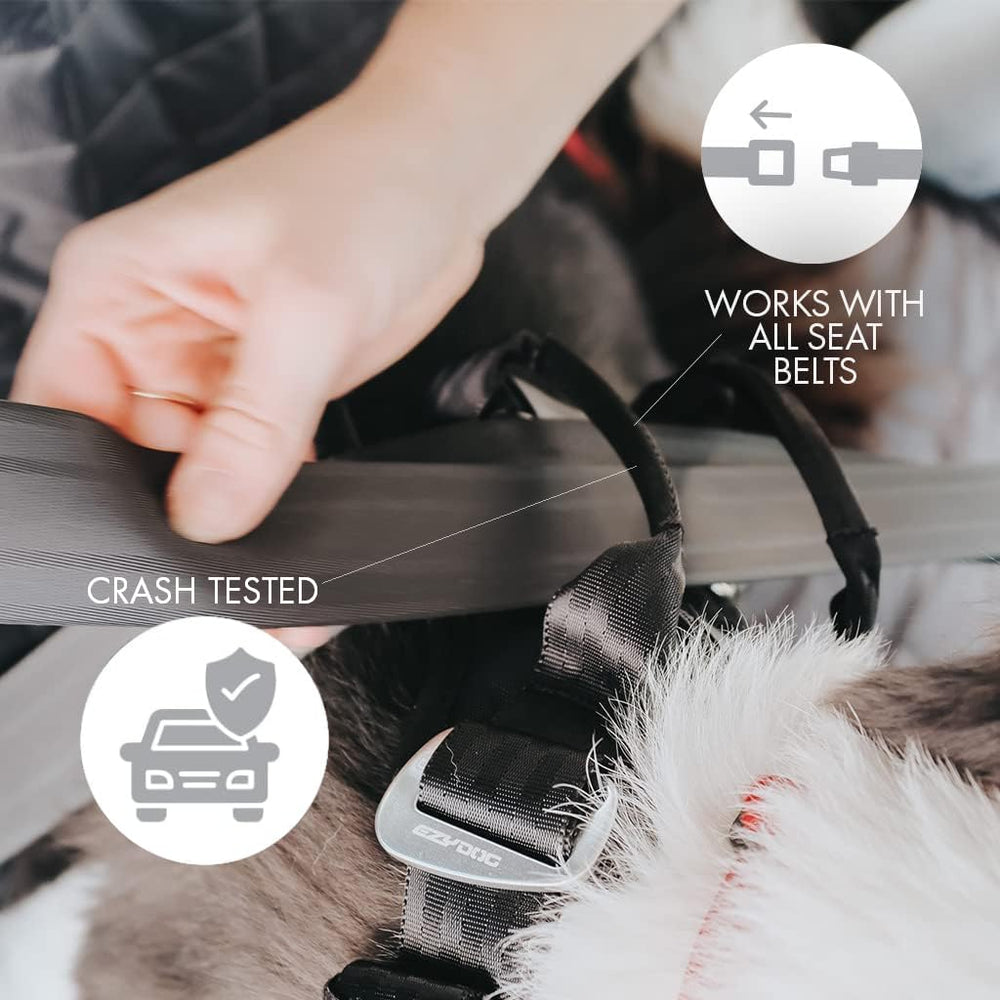 EzyDog Drive Harness shows ergonomic fit for snug car rides.