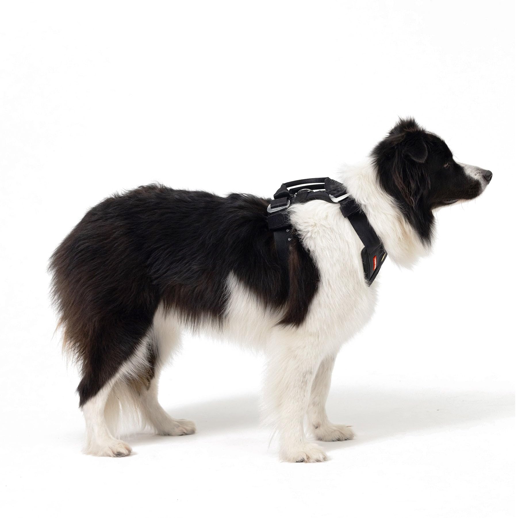 EzyDog Drive Harness ergonomic-fit adapts to your dog's shape for better comfort.