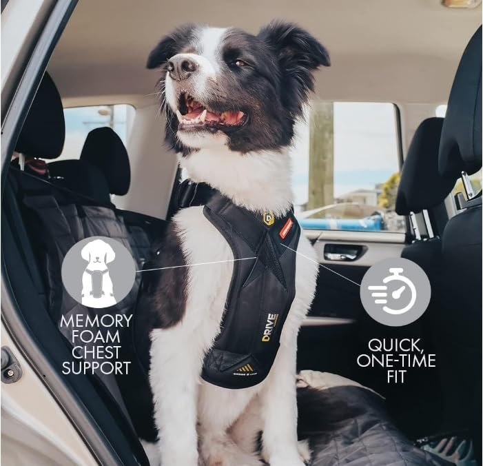 EzyDog Drive Harness padded-chest-plate delivers comfort during long car journeys.