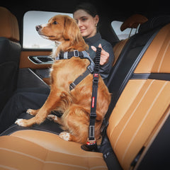 EzyDog swivel snap hook provides durability and reduces driver distraction.