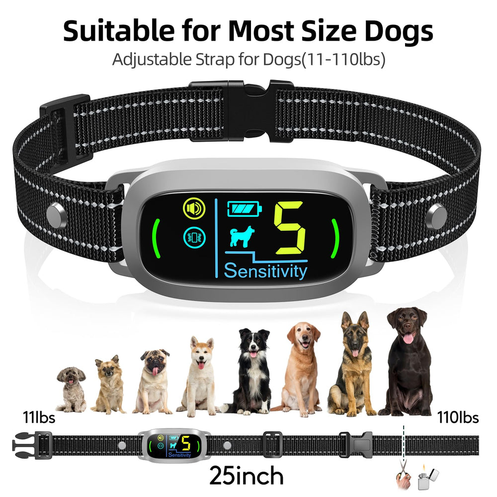 FAFAFROG bark collar in use during a training session with your dog