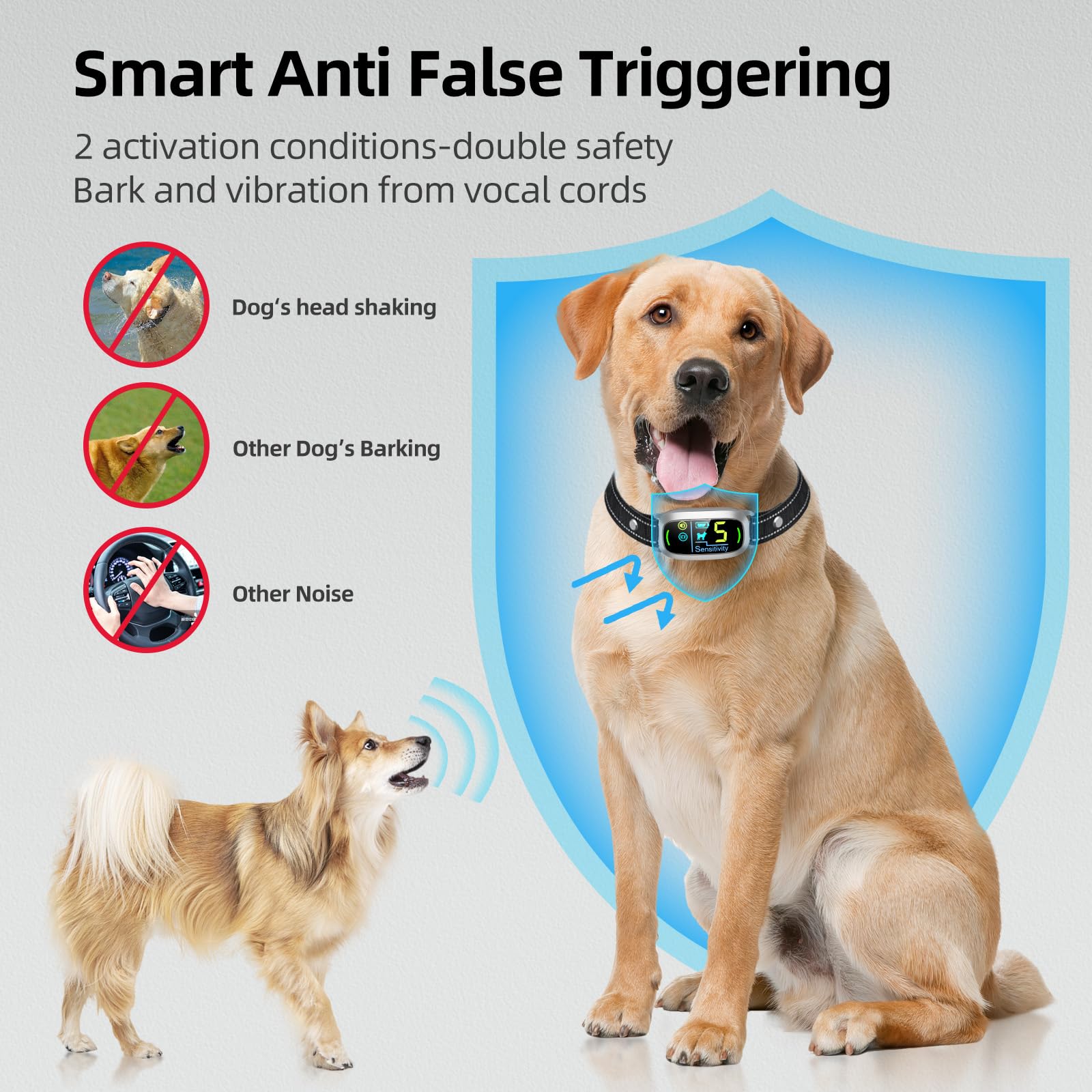 FAFAFROG bark collar worn on a dog during play shows secure, comfortable fit.