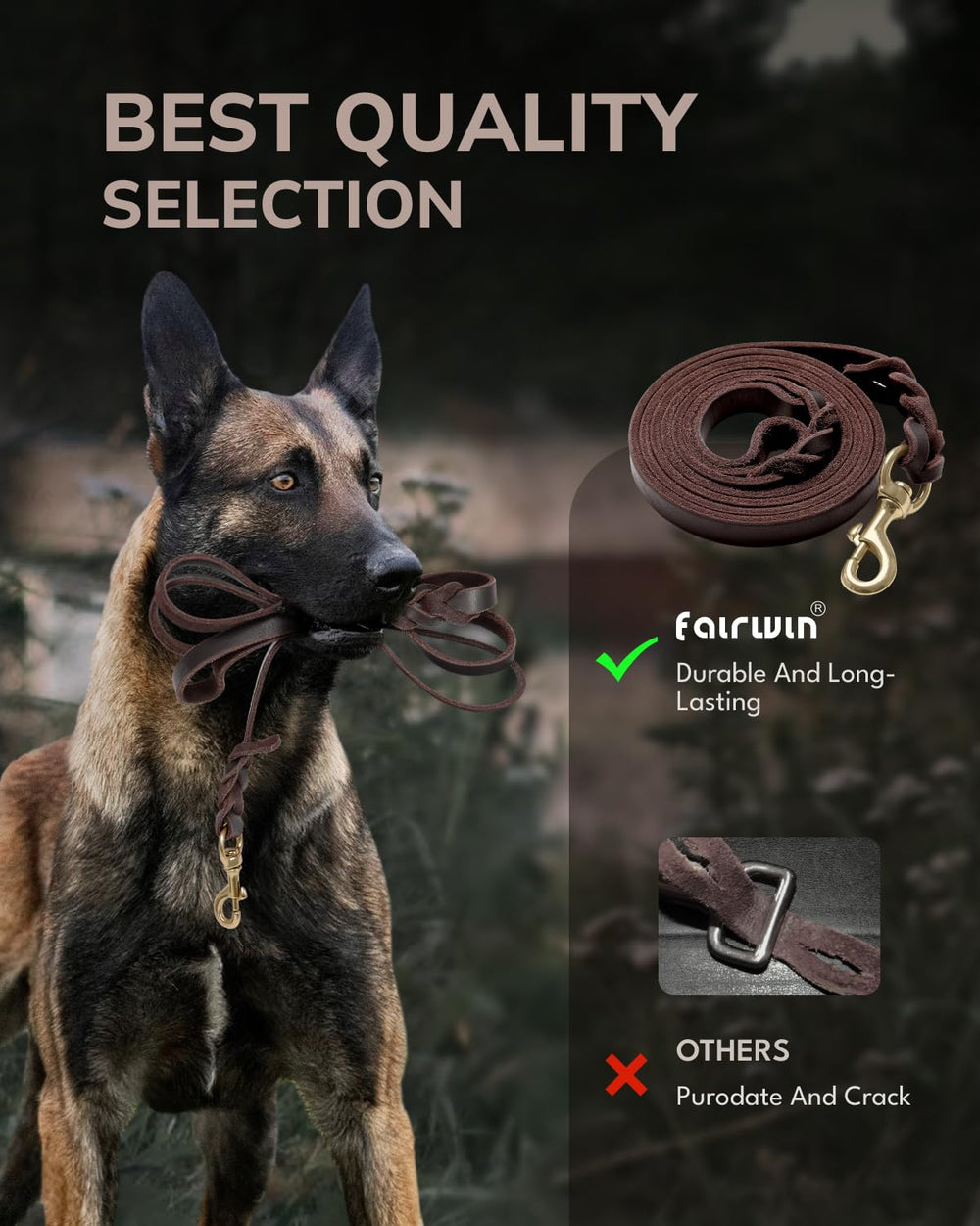 FAIRWIN brown leather leash with 1-in width.