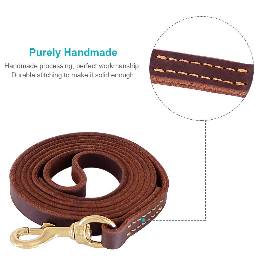 FAIRWIN leash in use during a calm park walk.