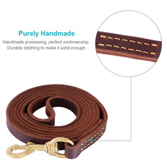 FAIRWIN leash in use during a calm park walk.