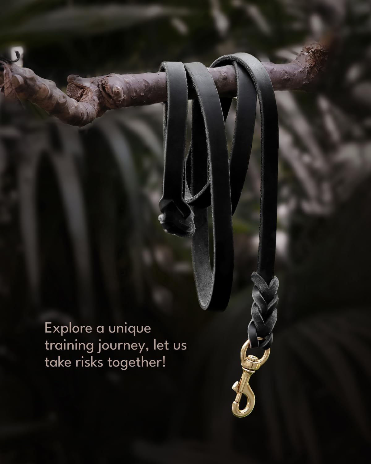 FAIRWIN clip attaches securely to collars or harnesses.