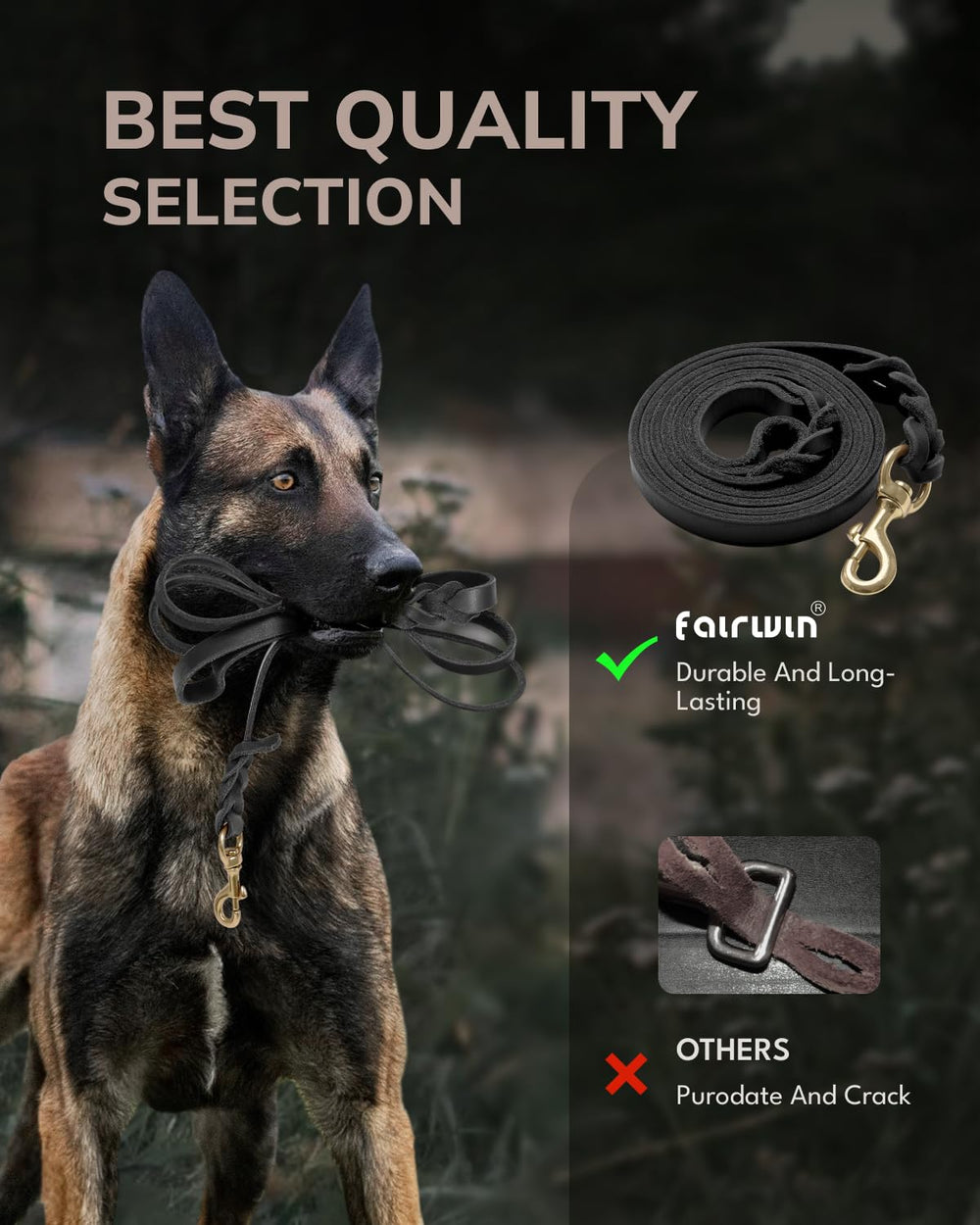 FAIRWIN leash suitable for large dogs like shepherds and mastiffs.