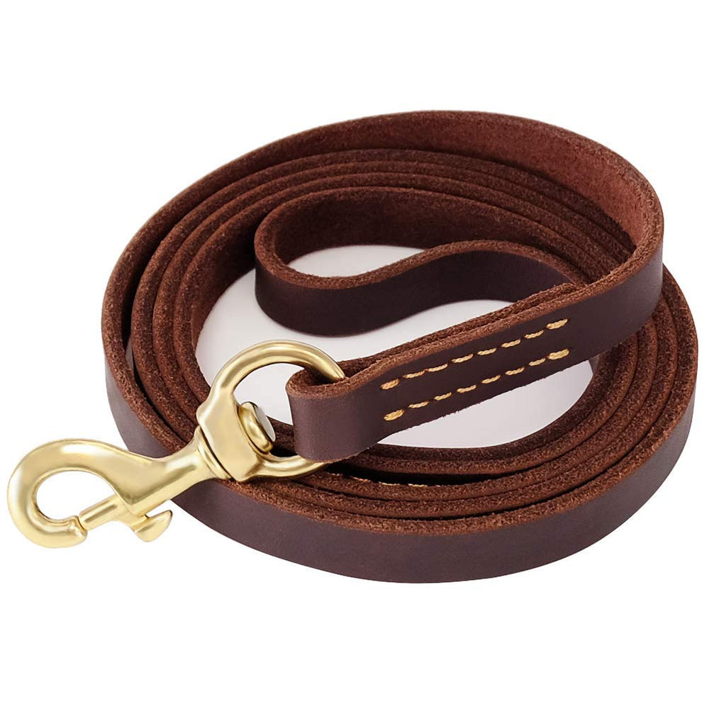 FAIRWIN leather dog leash 6 ft for controlled walks and training.