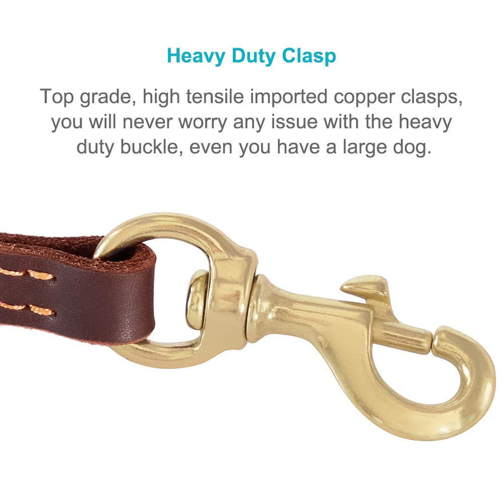 FAIRWIN leather leash close-up shows genuine leather and stitching.