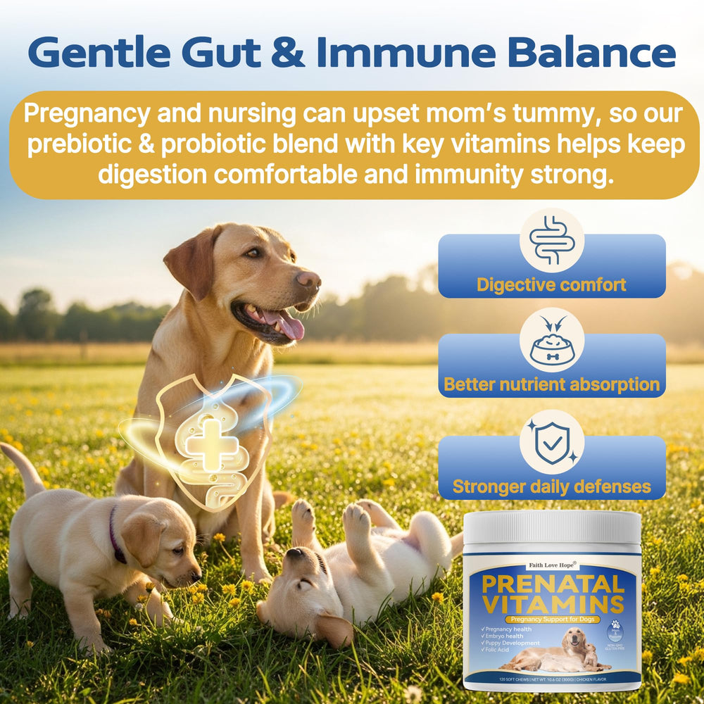 Faith Love Hope chews suitable for all dog breeds.